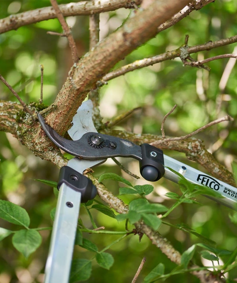 FELCO F211-60 Swiss Made Loppers for Gardening â€“ 24" Lightweight Precision Loppers for Tree Trimming | Tree Branch Cutters | Tree Trimmer Tool with Curved Bypass Blade | I-Beam Handles | Landscape - Image 3